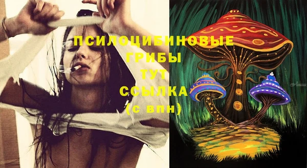 прущие крисы Алексин