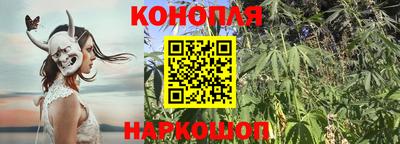 МДПВ Ликино-Дулёво
