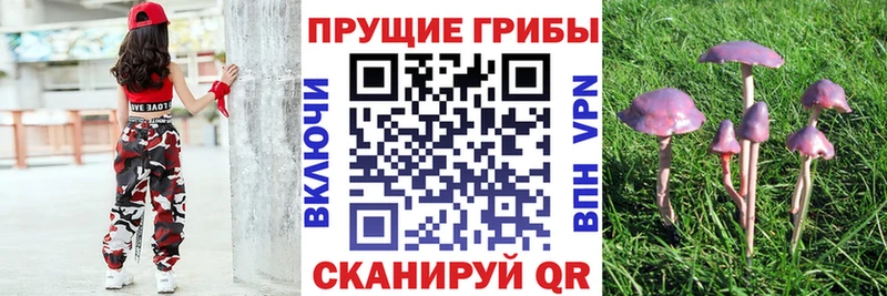 Галлюциногенные грибы MAGIC MUSHROOMS  Джанкой 